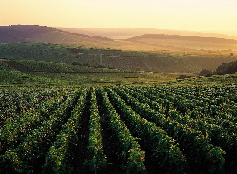 Avenay-Val-d'Or im Sonnenaufgang