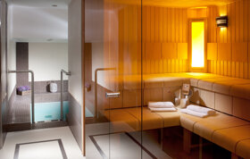 Sauna-Hotel Excelsior