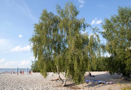 Steinhude Badeinsel Hans Zaglitsch