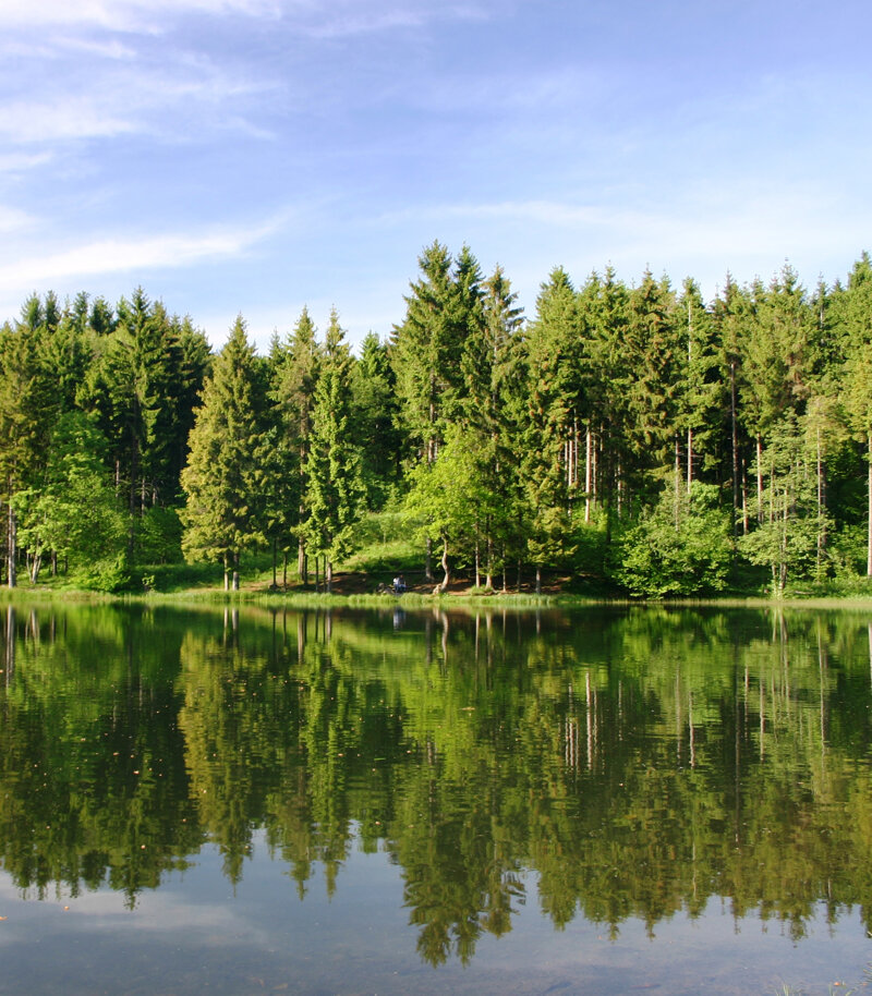 Weite Hochrhön-Landschaft – typisch für das UNESCO-Biosphärenreservat