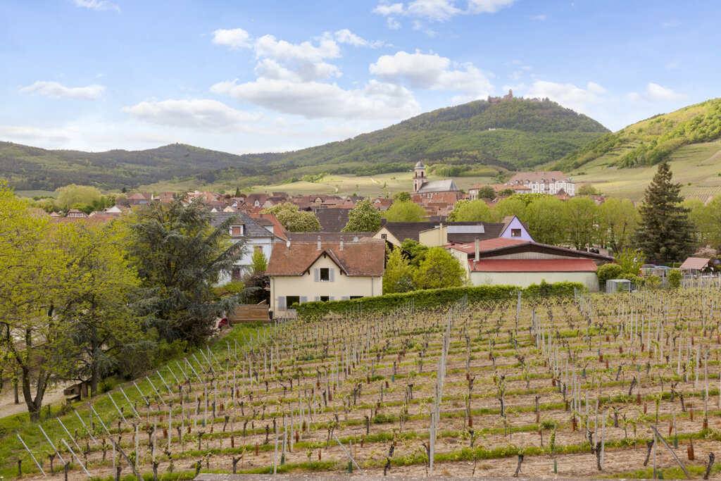 Saint Hippolyte ohne c Hotelbild