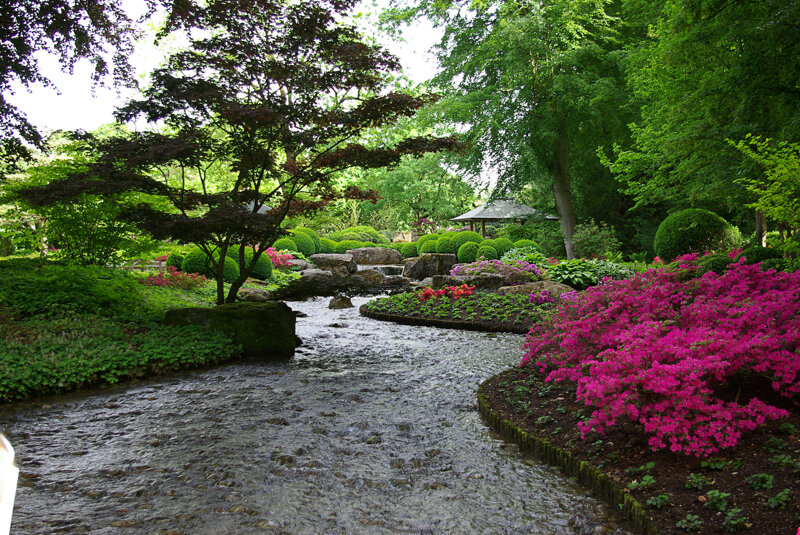 Botanischer Garten Japangarten