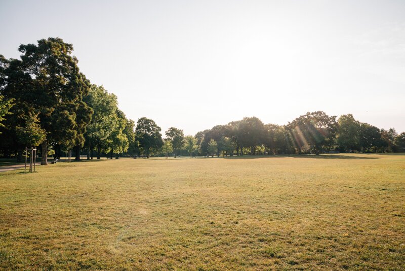Grüne Oase_ Der Mainzer Volkspark