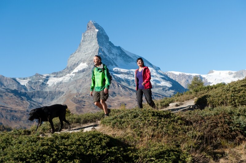 Paar mit Hund vor dem Matterhorn