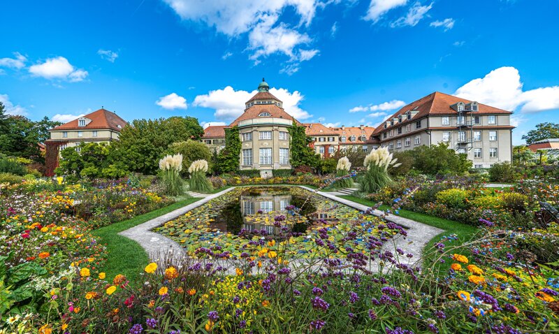 Botanischer Garten – Blüten und tropisches Grün