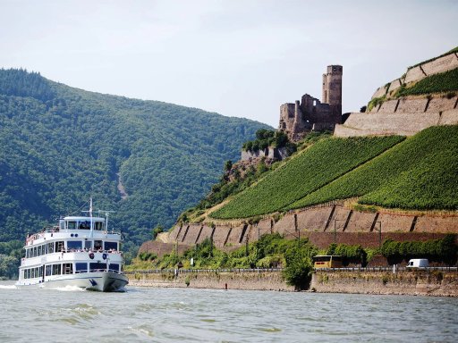 Schifffahrt und Wein in Bingen am Rhein