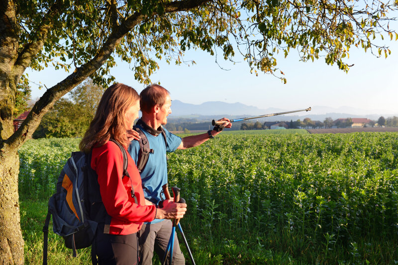 Wandern in der Region Bad Hall Kremsmünster