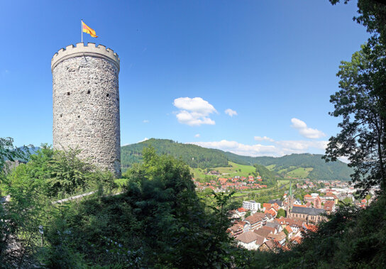 Burg-Huse-mit-Stadt C Stadt Hausach