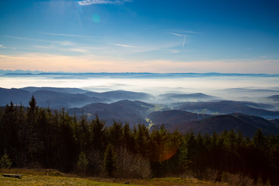 Hochblauen © Mathias Hollerbach-86
