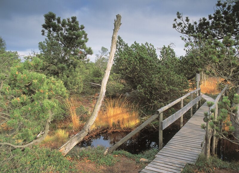 hochmoor Christian Prager Tourismusverband Erzgebirge e.V (2)