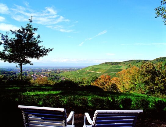 Blick von BW Roemerberg 1