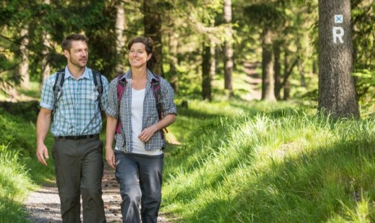 103-Wanderer auf dem Rennsteig bridge