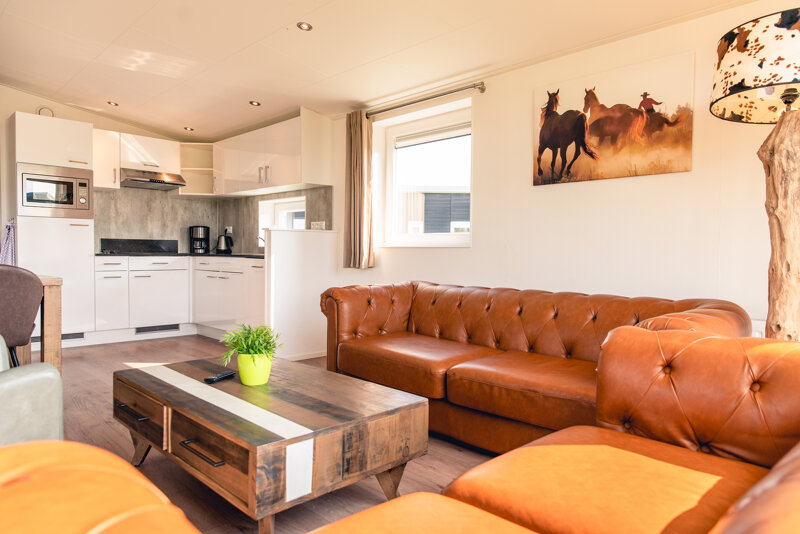 Raccoon Lodge interieur woonkamer