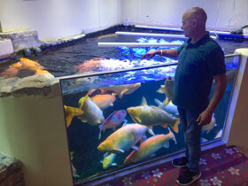 GS vor Koibecken innen heller