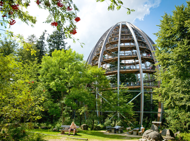 Baumwipfelpfad und Turm im Bayerischen Wald
