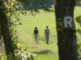 Rennsteigwandern c Oberhof Tourismus