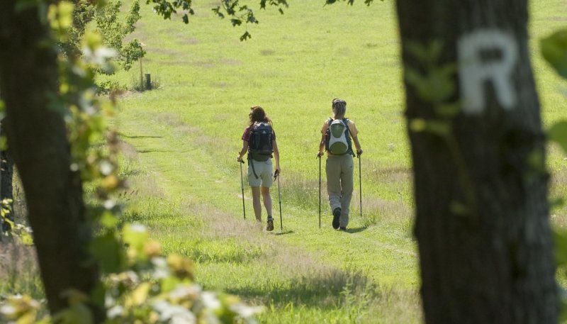 Wanderer auf dem Rennsteig