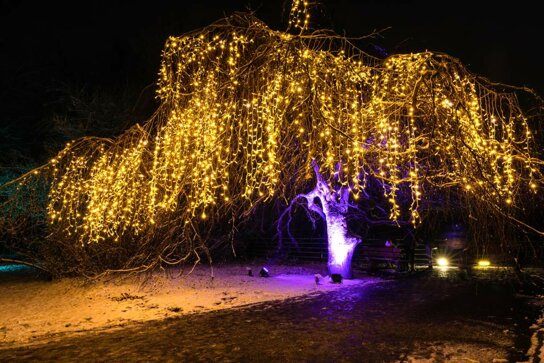 Weihnachten im Tierpark - Märchenbuche © Michael Clemens