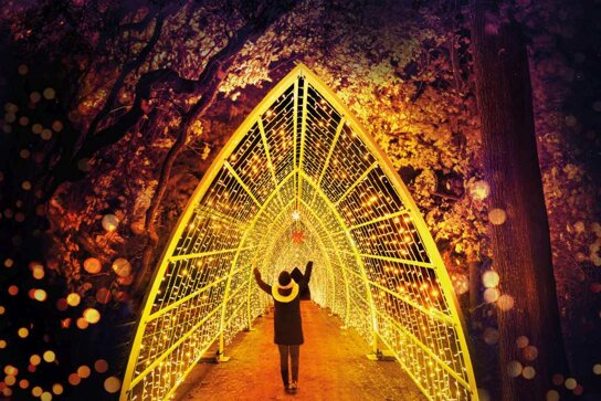 Weihnachten im Tierpark - Tunnel © Christmas Garden