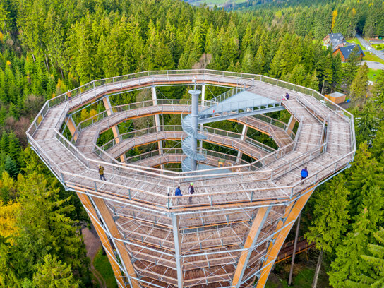 Turm-Von den Würzeln zu den Baumwipfeln