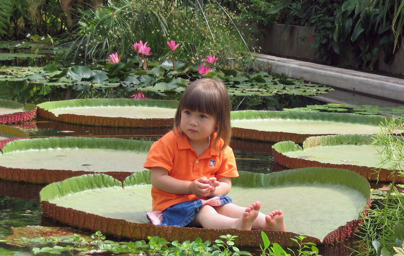 Kind im botanischen Garten Liberec