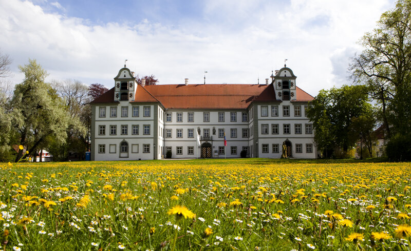 Schloss und Wiese