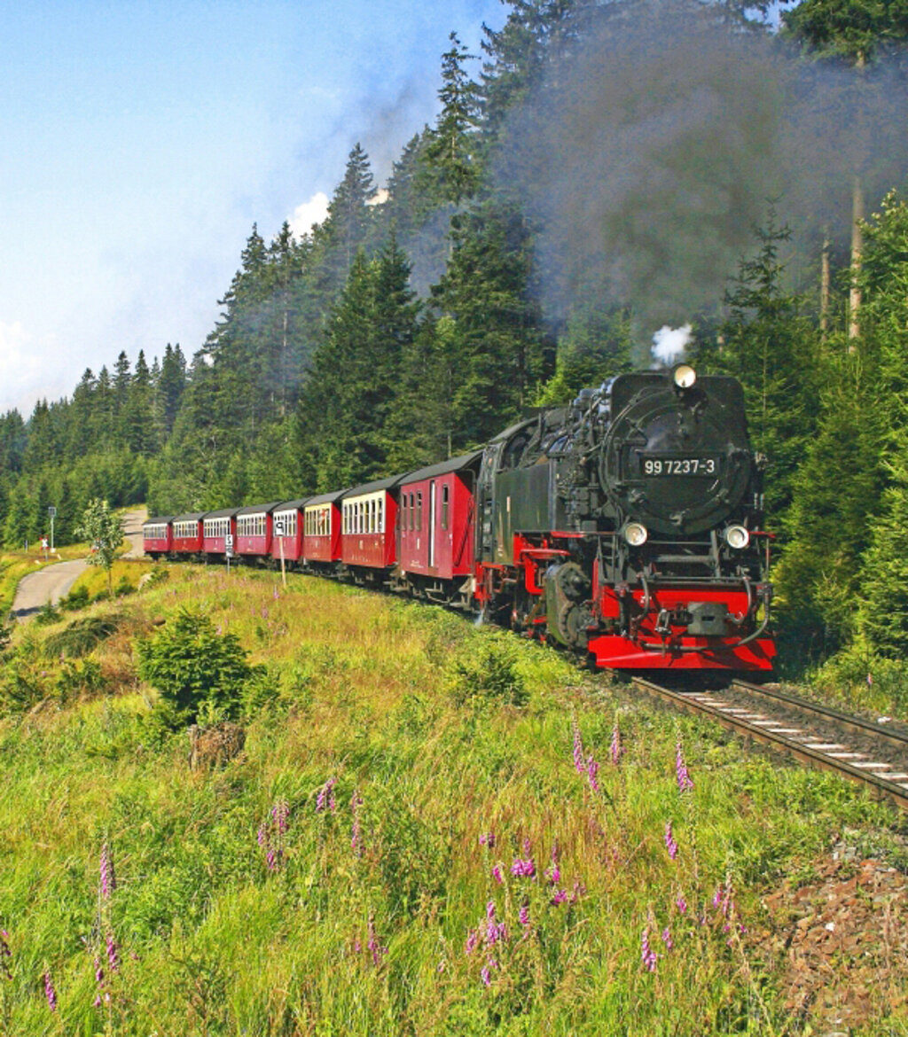 Harz
