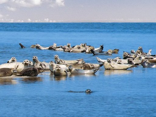 Best Western Hotel Prisma