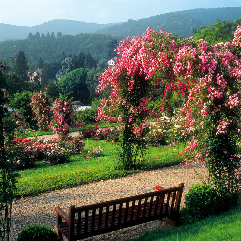 Rosengarten in Baden-Baden – romantisches Ausflugsziel für Paare