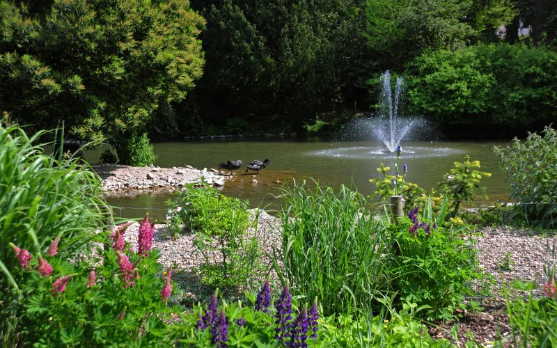 Kurpark Badenweiler