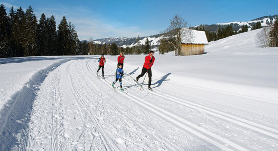 Langlaufen c Seilbahnen Damüls Mellau