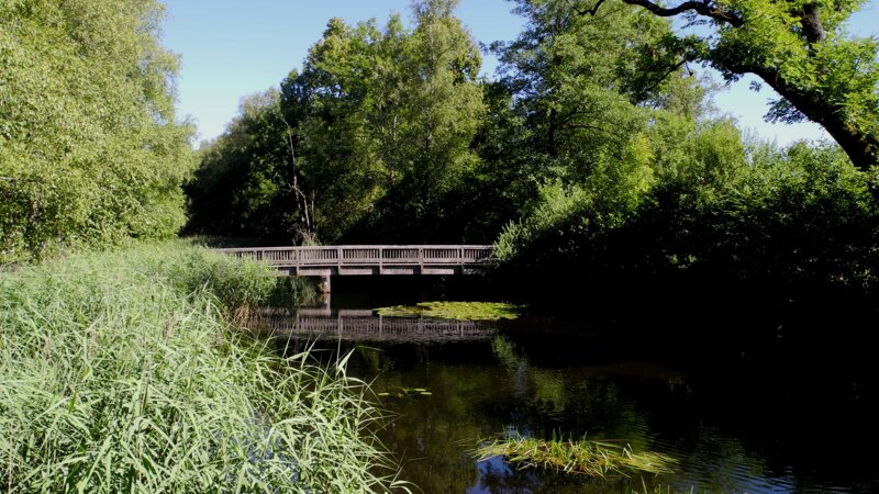 Naturschutzgebiet Wurzacher Ried – intaktes Hochmoor in Bad Wurzach