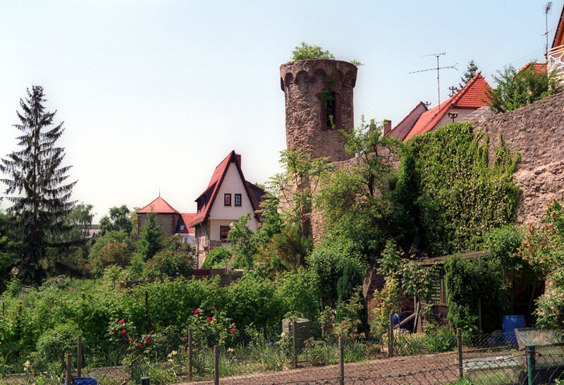 Sauermilchhaffe Stadtmauer