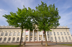 4780 7000 Eichen 1024