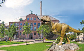 Senckenbergmuseum c PIA Stadt Frankfurt am Main Karola Neder