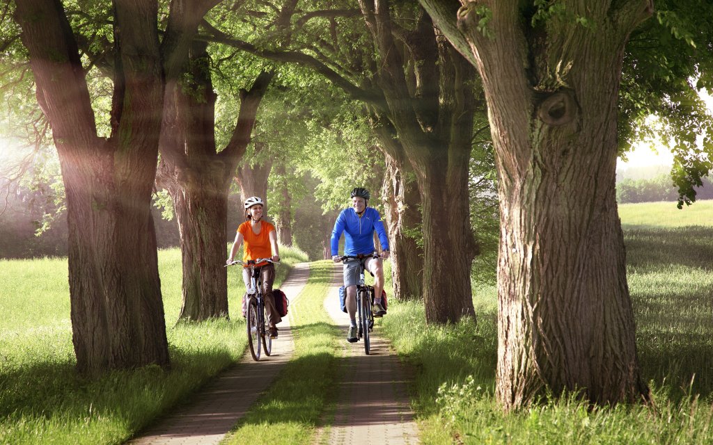 Spornitz