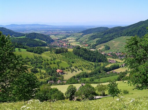 Glottertal im Schwarzwald – Wein, Natur & Schwarzwaldklinik