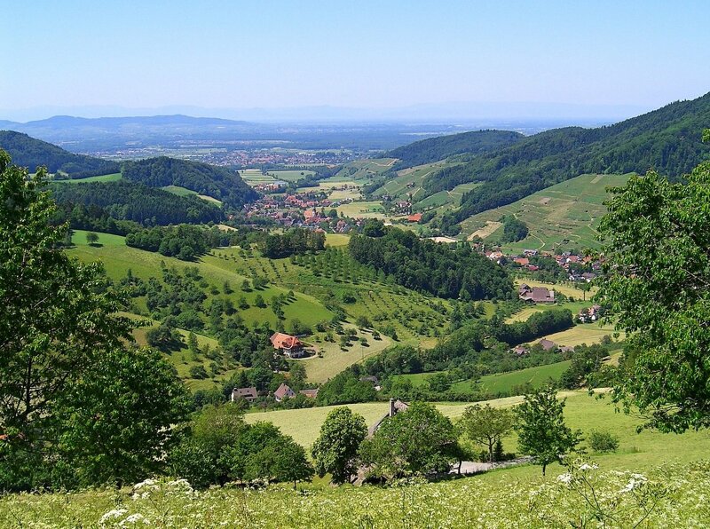 Glottertal im Schwarzwald – idyllisches Tal zwischen Weinbergen und Wäldern