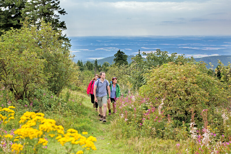 Wandern im Hochtaunus – Natur und Geschichte erleben