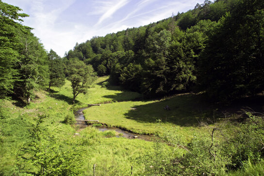Natur 01 C Spessart-MainlandAndreas Hub