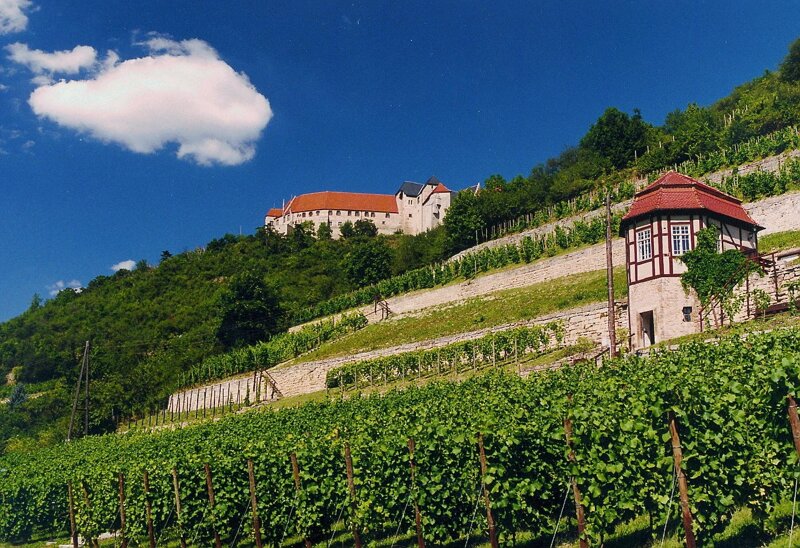 Schloss Neuenburg bei Freyburg mit herzoglichem Weinberg