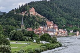 Hirschhorn Panorama Neckar 2