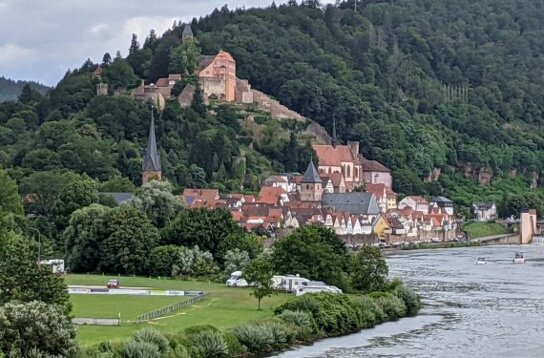 Hirschhorn Panorama Neckar 2