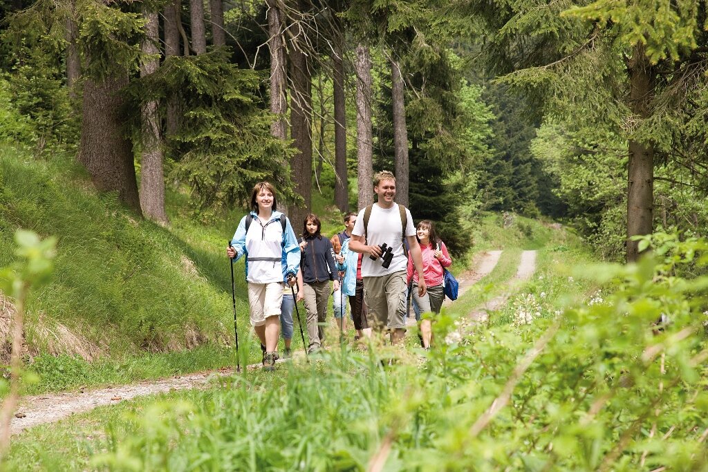 Wandern im Erzgebirgswald©Tourismusverband Erzgebirge e.V.