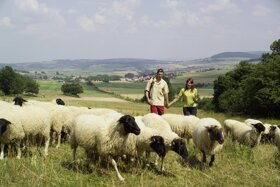 Wanderer c Thüringer Tourismus GmbH