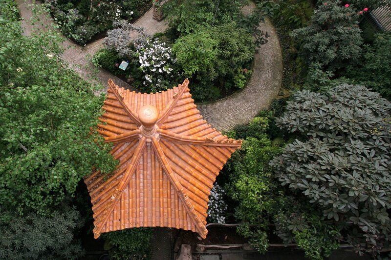 Rhododendron-Park botanika Bremen