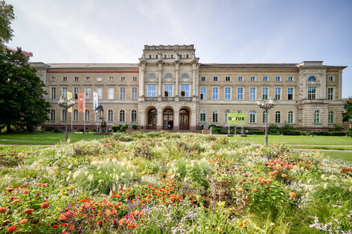 Naturkunde Museum Karlsruhe