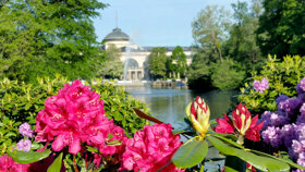 4748 Wiesbaden Congress - Marketing GmbH Kurpark