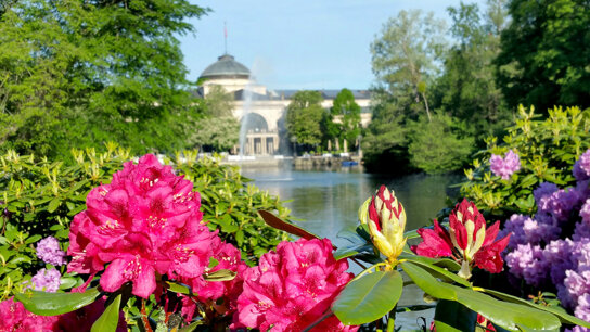 4748 Wiesbaden Congress - Marketing GmbH Kurpark