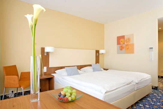 Double Buisnes room 4